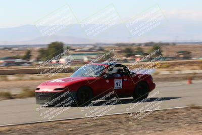 media/Nov-13-2022-VIP Trackdays (Sun) [[2cd065014b]]/B group/Speed Shots/